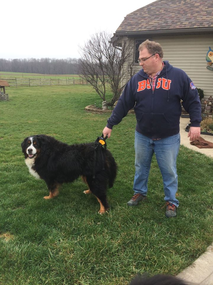 Gunnar Bernese Mountain Dog