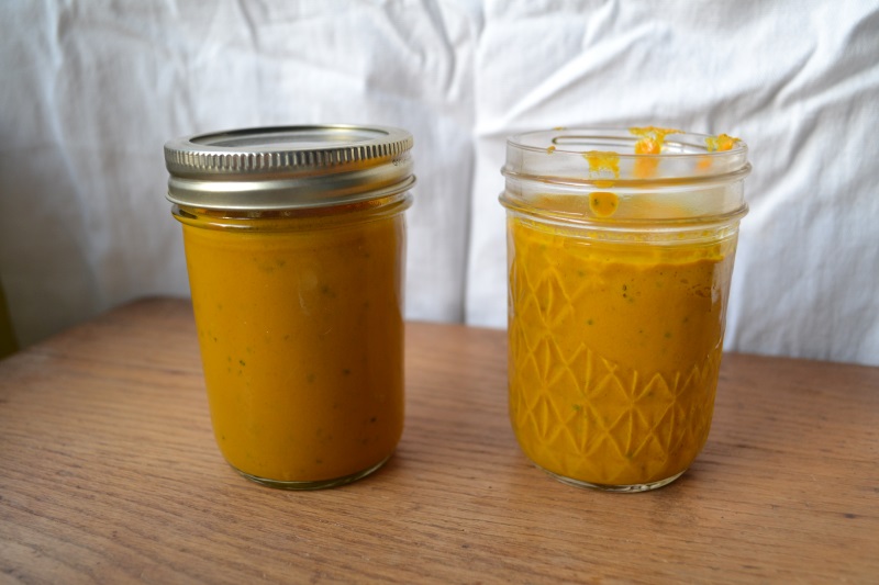 Turmeric Golden Paste for dogs