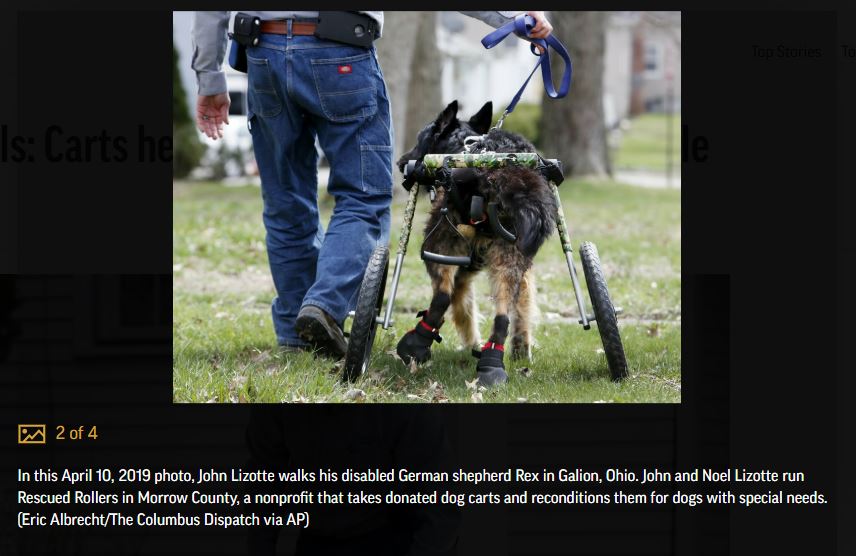 Rescued Rollers founder, John Lizotte and Rex the German Shepherd Dog in a wheelchair taking a walk down the sidewalk.