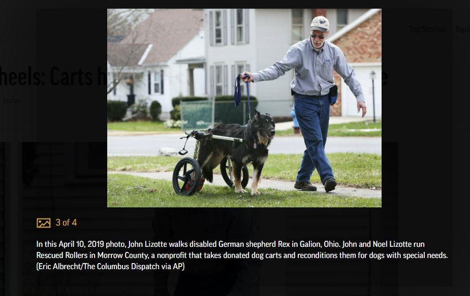 Rescued Rollers founder, John Lizotte and Rex the German Shepherd Dog in a wheelchair taking a walk down the sidewalk.