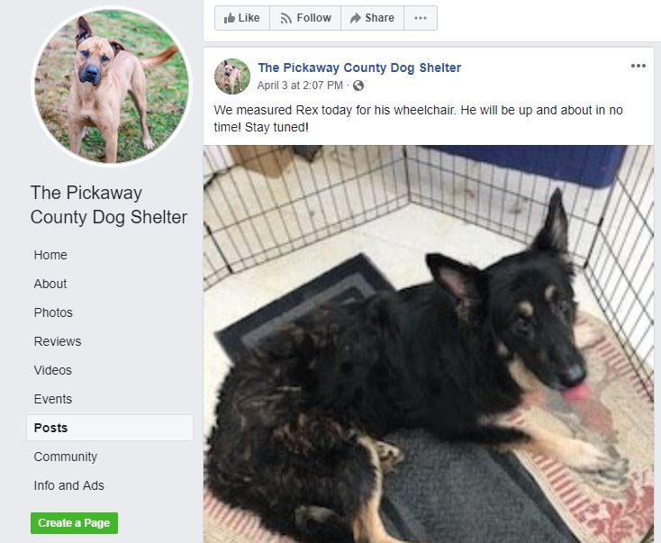 Pickaway Cty Shelter 4 3