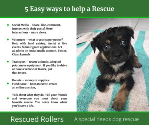 list of 5 easy ways to help your favorite rescue