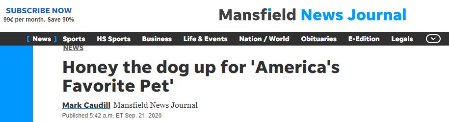 headline from Mansfield News Journal Honey up for America's best pet
