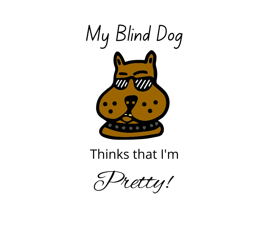 my blind dog thinks i'm pretty