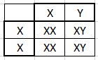 XX and XY gene chart